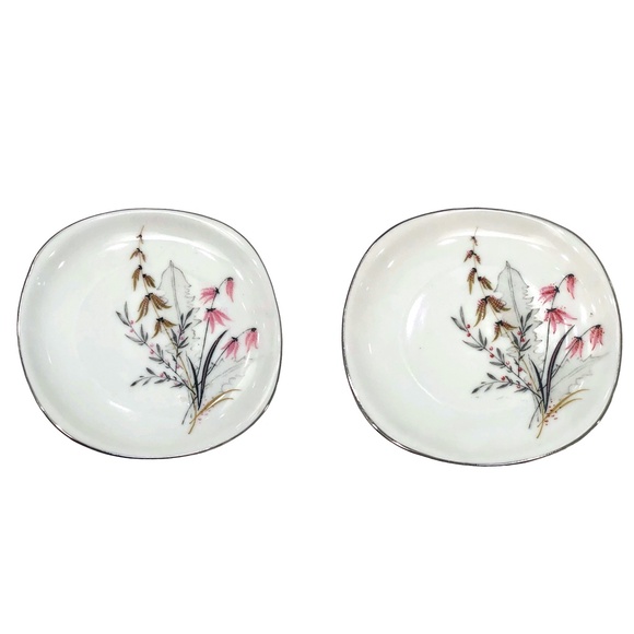 VINTAGE SCHWARZENHAMMER BAVERIA GERMANY FLORAL PLATES - SET OF 2 - Picture 1 of 15